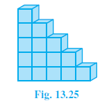 Page 228 Chapter 13 Class 9th Non-Rationalised NCERT 2019-20